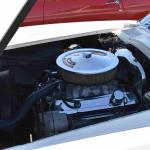 DSC_0114_01 (October 03, 2020)